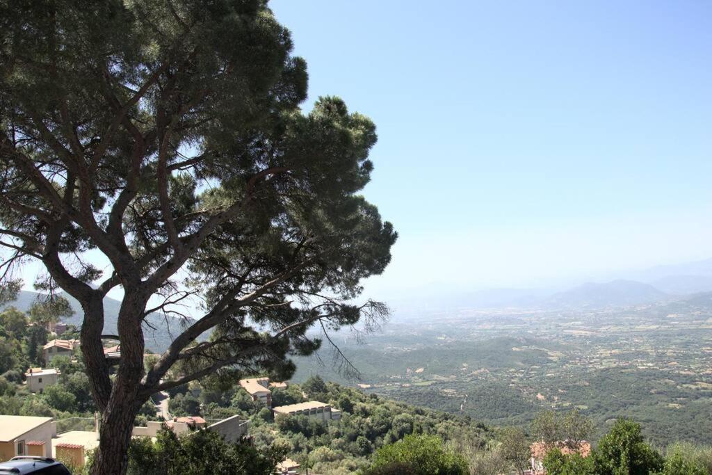 Apartamento Montecolcau Panoramic View Baunei Exterior foto